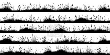 Téléchargez les photos : Silhouettes de prairie avec herbe, plantes sur la plaine. Paysage panoramique de pelouse d'été avec des herbes, diverses mauvaises herbes. Bordure à base de plantes, élément cadre. Bannières horizontales noires. Illustration vectorielle. - en image libre de droit