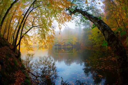 Foto de Yedigller - parque nacional de siete lagos Bosque de otoño reflexión sobre el agua con muelle de madera - Paisaje de otoño en (siete lagos) Yedigller Milli Park Bolu, Turquía - Imagen libre de derechos