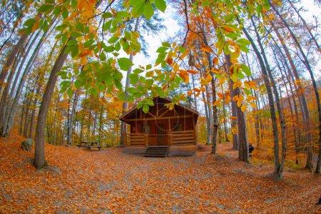 Foto de Beautiful country houses in the forest in autumn - Imagen libre de derechos