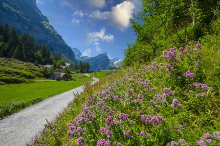Foto de The Swiss Alps near Seealpsee lake, Appenzeller Land, Switzerland - Imagen libre de derechos