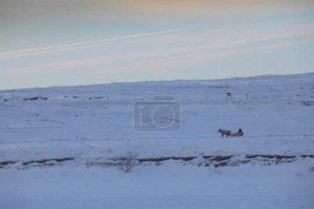 Foto de Caballos tirando del trineo en invierno - Lago Cildir, Kars - Imagen libre de derechos