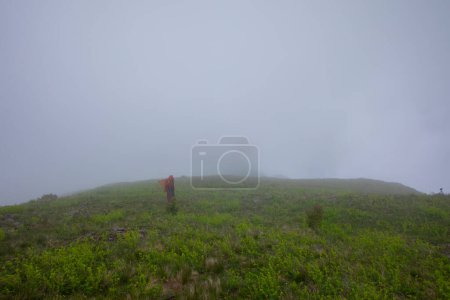 Photo for Women with baskets carrying tea in the Kackar mountains - Royalty Free Image
