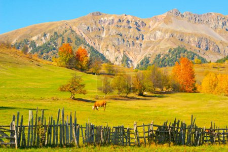 Téléchargez les photos : Paysage d'automne et feuilles jaunes. Maisons traditionnelles dans le village Ilca dans le parc national des montagnes Kre, Kastamonu, Turquie - en image libre de droit