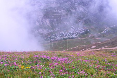 Foto de Trovit Plateau view in Rize Province of Turkey - Imagen libre de derechos