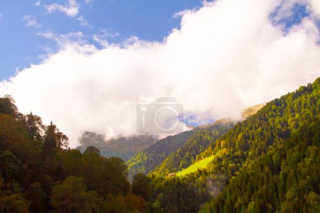Photo for Ayder Plateau in Camlihemsin. Panoramic view of wooden chalets at sunrise. Turkey travel. Ayder Plateau has wide meadow area with wooden mountain houses at 1350 meters of height. Rize, Turkey - Royalty Free Image