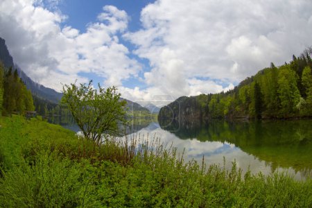 Téléchargez les photos : Une belle vue panoramique sur le populaire lac d'Alpsee - en image libre de droit