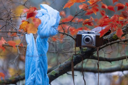 Valuable Old cameras photographed in nature
