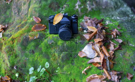 Wertvolle alte Kameras in der Natur fotografiert