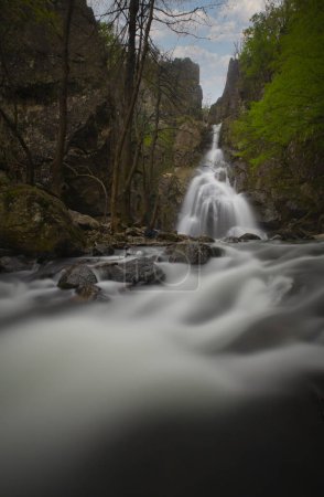 Téléchargez les photos : Vue sur la cascade dans la forêt. Cascade Erikli, Yalova. - en image libre de droit