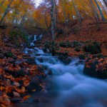Autumn scene. Seven lakes Bolu Turkey