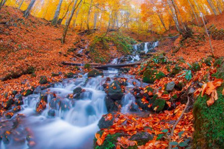 Herbstszene. Sieben Seen Bolu Turkey