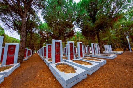 Photo for Canakkale Martyrs' Memorial military cemetery is a war monument commemorating approximately Turkish soldiers who participated in the Battle of Gallipoli. - Royalty Free Image