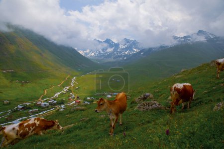 Cicekli Plateau in Camlihemsin district of Rize province. Kackar Mountains region. Rize, Turkey. (Turkish: Cicekli Yaylasi)