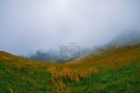 Cicekli Plateau im Bezirk Camlihemsin in der Provinz Rize. Kackar-Gebirge. Rize, Türkei. (Türkisch: Cicekli Yaylasi)