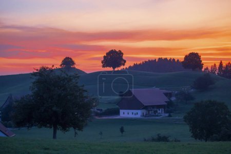 Paysage pittoresque du lever du soleil sur un arbre solitaire sur une colline avec un troupeau de vaches broutant l'herbe dans la scène rurale à Hirzel, Suisse