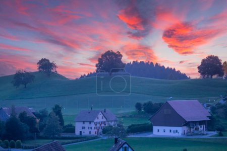 Malerisches Bild des Sonnenaufgangs über einem einsamen Baum auf einem Hügel mit einer Kuhherde, die Gras weidet in ländlicher Umgebung bei Hirzel, Schweiz