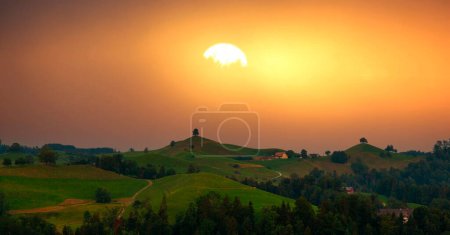 Malerisches Bild des Sonnenaufgangs über einem einsamen Baum auf einem Hügel mit einer Kuhherde, die Gras weidet in ländlicher Umgebung bei Hirzel, Schweiz