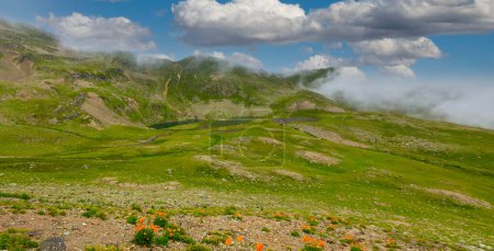 Mesmerizing view of Hakkari's Cennet Vadisi! The breathtaking beauty of nature never ceases to amaze.