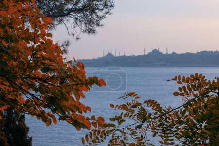 Vista histórica de la península histórica de Estambul.