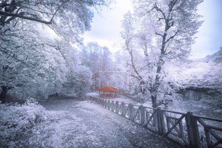 Infrared photos taken from the most beautiful places in the world