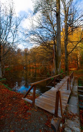Parc national des forêts d'Igneada Longoz, Turquie
