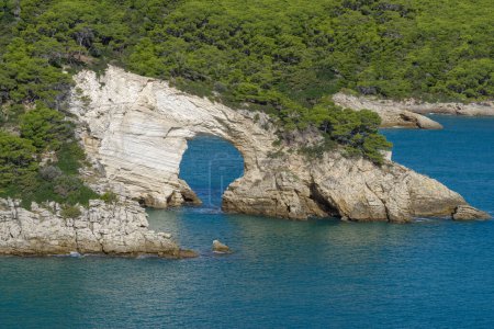 Foto de Roca Architiello, Bahía de San Felice, costa entre Mattinata y Vieste, Parque Nacional Gargano, Puglia, Italia - Imagen libre de derechos