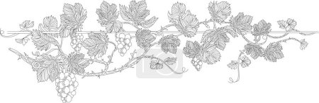 Téléchargez les illustrations : Weaving branch  / vine / flower ornament / floral pattern / vine outline / vine tattoo - en licence libre de droit