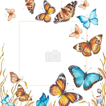 Téléchargez les photos : Cadre d'été avec des herbes de champ et des papillons colorés. Illustration aquarelle sur fond blanc. - en image libre de droit