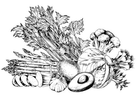 Ilustración de Espárragos, apio, aguacate y verduras verdes. Ilustración vectorial dibujada a mano en blanco y negro. - Imagen libre de derechos