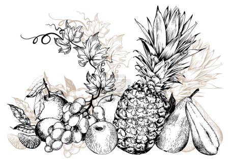 Ilustración de Piñas, uvas y frutas dulces. Ilustración vectorial dibujada a mano en blanco y negro. - Imagen libre de derechos