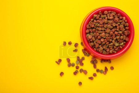 Photo for Pet food in red bowl on yellow background. Space for text. Top view - Royalty Free Image