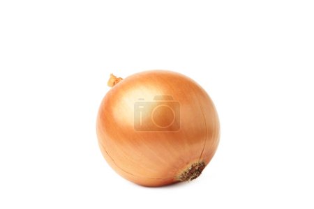 Photo for Onions isolated on white background. Top view - Royalty Free Image