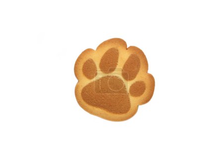 Self made cat paw cookies isolated on white background. Top view