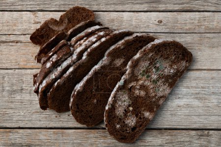 Foto de Un pedazo de pan moldeado oscuro. Seta verde - Imagen libre de derechos