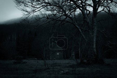Téléchargez les photos : Abandoned spooky house in the dark foggy forest - en image libre de droit