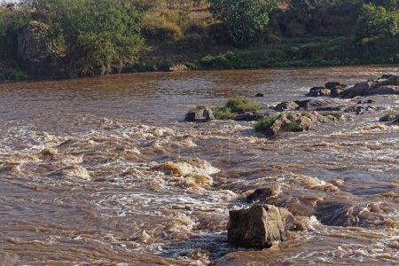 Foto de Rápidos en la naturaleza salvaje del río Mara en Kenia África - Imagen libre de derechos