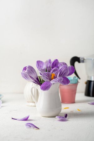 Téléchargez les photos : Gros plan du safran violet de crocus de printemps dans l'espace de copie en pot arrière-plan de vacances - en image libre de droit