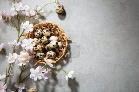 Téléchargez les photos : Fond de Pâques fleurs et œufs tranquilles vue de dessus - en image libre de droit