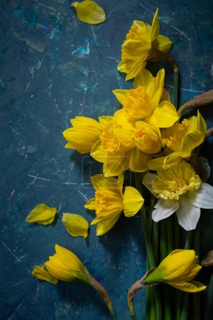 Téléchargez les photos : Concept vacances printemps fleur narcisse jaune sur surface verte - en image libre de droit