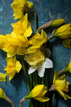 Téléchargez les photos : Concept vacances printemps fleur narcisse jaune et blanche sur surface verte - en image libre de droit