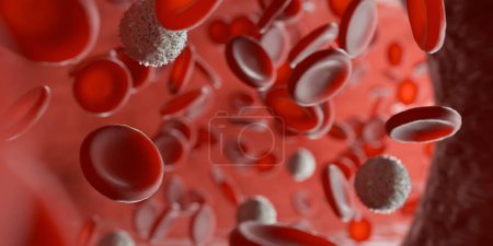 Photo for Red and white blood cells or corpuscles (erythrocytes and leukocytes) in human vein or artery close up macro, medical or biology science concept, 3D illustration - Royalty Free Image