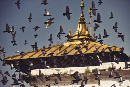 Foto de Pashupatinath Sitios de peregrinación al templo de oro en Nepal. - Imagen libre de derechos