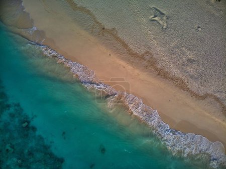 Téléchargez les photos : Voyage dans un paradis tropical. Plage paradisiaque avec palmiers et mer bleue claire et sable blanc sans personne. Vidéo 4K - en image libre de droit