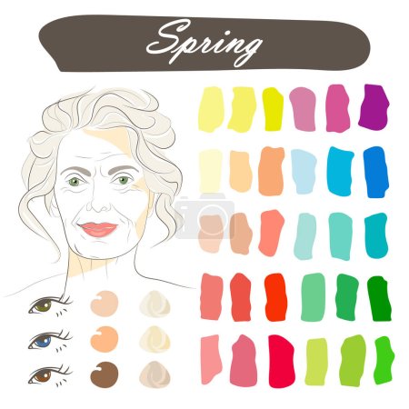 Illustration for Stock vector seasonal color analysis palette with best colors for spring type of appearance. Face of a smiling attractive beautiful elderly woman with gray hair - Royalty Free Image
