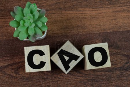 Photo for Concept of The wooden Cubes with the word CAO on wooden background. - Royalty Free Image