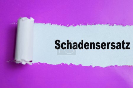 Concept of Learning language - German. Schadensersatz it means damages written on torn paper.