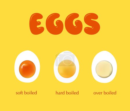 Téléchargez les illustrations : Trois œufs cuits de différentes manières - en licence libre de droit