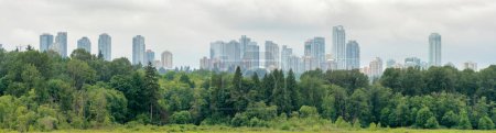 Photo for View of a city in the park on overcasted sky background. - Royalty Free Image