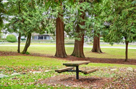 Photo for Recreational zone with wooden table in residential area. - Royalty Free Image