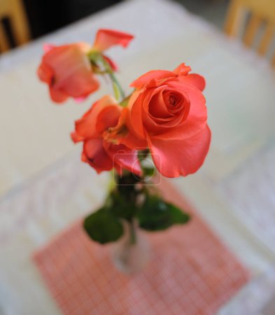 Rosas escarlata marcescentes sobre una mesa. Primer plano imagen de las flores.